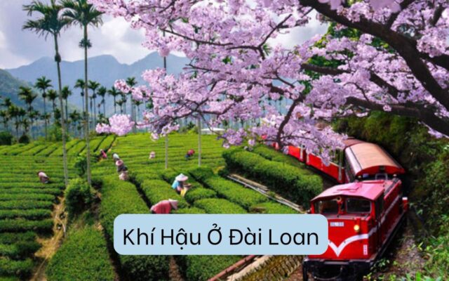 Khí Hậu Ở Đài Loan: Tạo Nên Những Trải Nghiệm Du Lịch Đặc Sắc