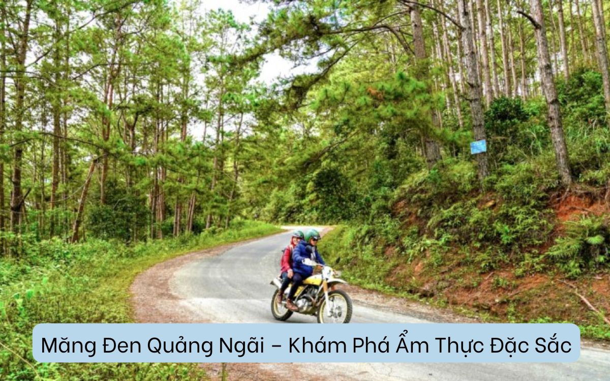 Măng Đen Quảng Ngãi – Khám Phá Ẩm Thực Đặc Sắc