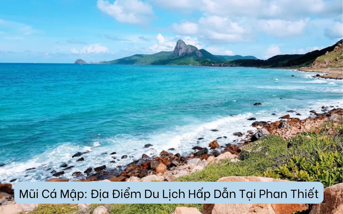 Mũi Cá Mập: Địa Điểm Du Lịch Hấp Dẫn Tại Phan Thiết