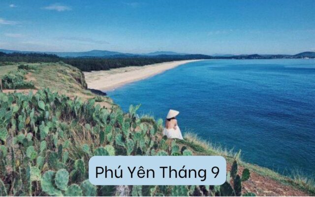 Du Lịch Phú Yên Tháng 9: Ăn Gì Để Tận Hưởng Vẻ Đẹp Và Hương Vị Đặc Sản