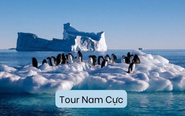 Kinh Nghiệm Đi Tour Nam Cực: Hành Trình Khám Phá Lục Địa Băng Giá